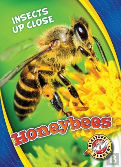 Bertrand.pt - Honeybees