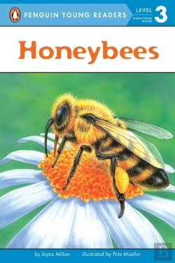 Bertrand.pt - Honeybees