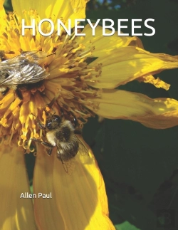 Bertrand.pt - Honeybees