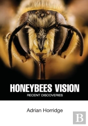 Honeybees Vision: Recent Discoveries