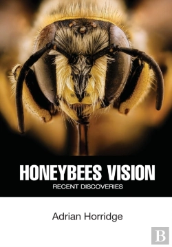 Bertrand.pt - Honeybees Vision: Recent Discoveries