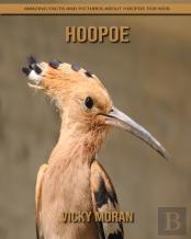 Hoopoe