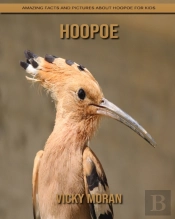 Hoopoe