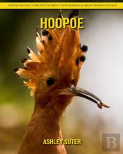 Hoopoe