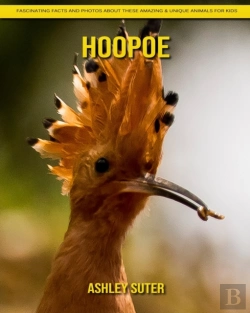 Bertrand.pt - Hoopoe