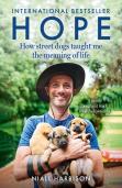 Hope Â€“ How Street Dogs Taught Me The Meaning Of Life