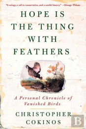 Hope Is The Thing With Feathers
