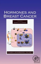 Hormones And Breast Cancer