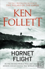 Hornet Flight