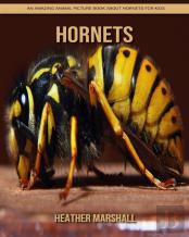 Hornets