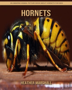 Bertrand.pt - Hornets