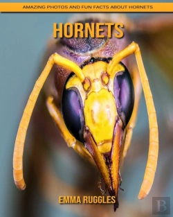 Bertrand.pt - Hornets