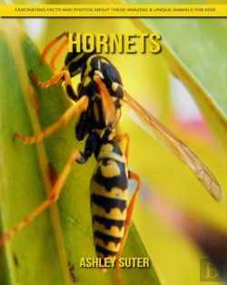 Bertrand.pt - Hornets