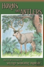 Horns And Antlers