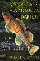 Hornyheads, Madtoms, And Darters