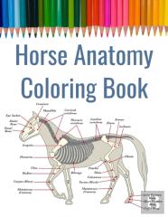 Horse Anatomy Coloring Book