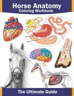 Bertrand.pt - Horse Anatomy Coloring Workbook