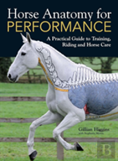 Horse Anatomy For Performance
