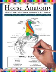 Horse Anatomy Veterinary Physiology Workbook And Coloring | Anatomy Magnificent Learning Structure For Students & Even Adults