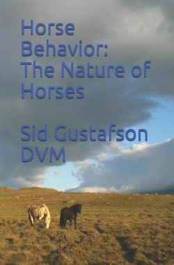 Bertrand.pt - Horse Behavior