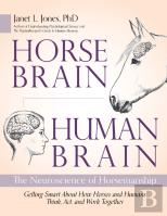 Horse Brain, Human Brain