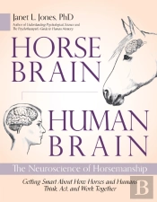 Horse Brain, Human Brain
