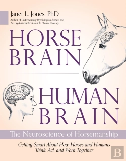 Bertrand.pt - Horse Brain, Human Brain