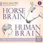 Horse Brain, Human Brain