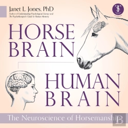Bertrand.pt - Horse Brain, Human Brain