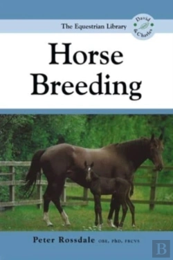 Bertrand.pt - Horse Breeding