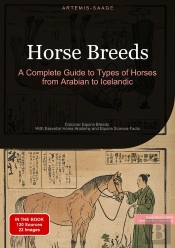 Horse Breeds: A Complete Guide To Types Of Horses From Arabian To Icelandic