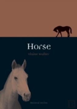 Bertrand.pt - Horse