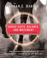 Horse Gaits, Balance, And Movement