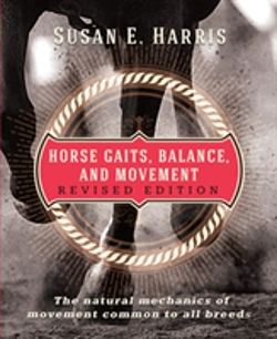 Bertrand.pt - Horse Gaits, Balance, And Movement
