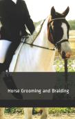 Horse Grooming And Braiding