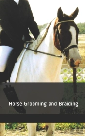 Horse Grooming And Braiding