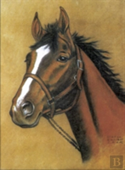 Bertrand.pt - Horse Notebook