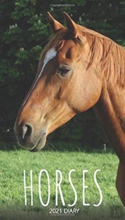 Bertrand.pt - Horses 2021 Diary