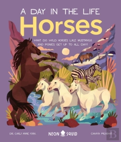 Bertrand.pt - Horses (A Day In The Life)