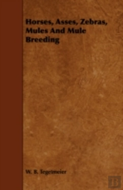 Bertrand.pt - Horses, Asses, Zebras, Mules And Mule Br
