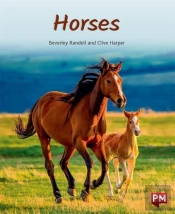 Horses