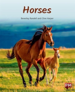 Bertrand.pt - Horses