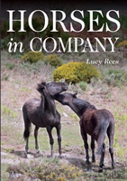Bertrand.pt - Horses In Company