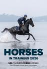 Horses In Training