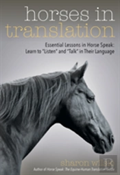 Horses In Translation