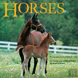 Bertrand.pt - Horses