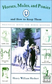 Horses, Mules, Ponies And How To Keep Them