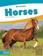 Horses