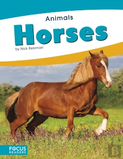 Bertrand.pt - Horses