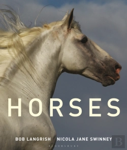 Bertrand.pt - Horses